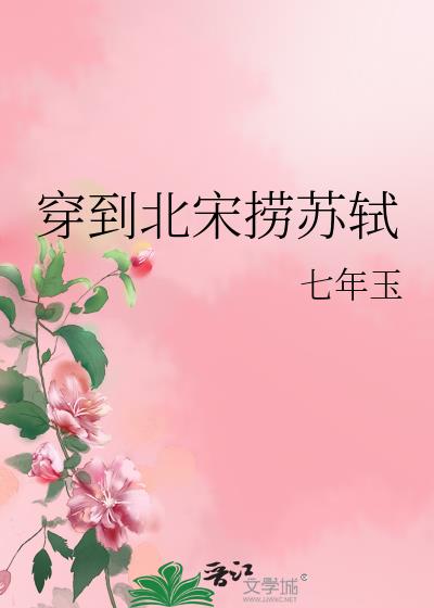 小伙穿越北宋